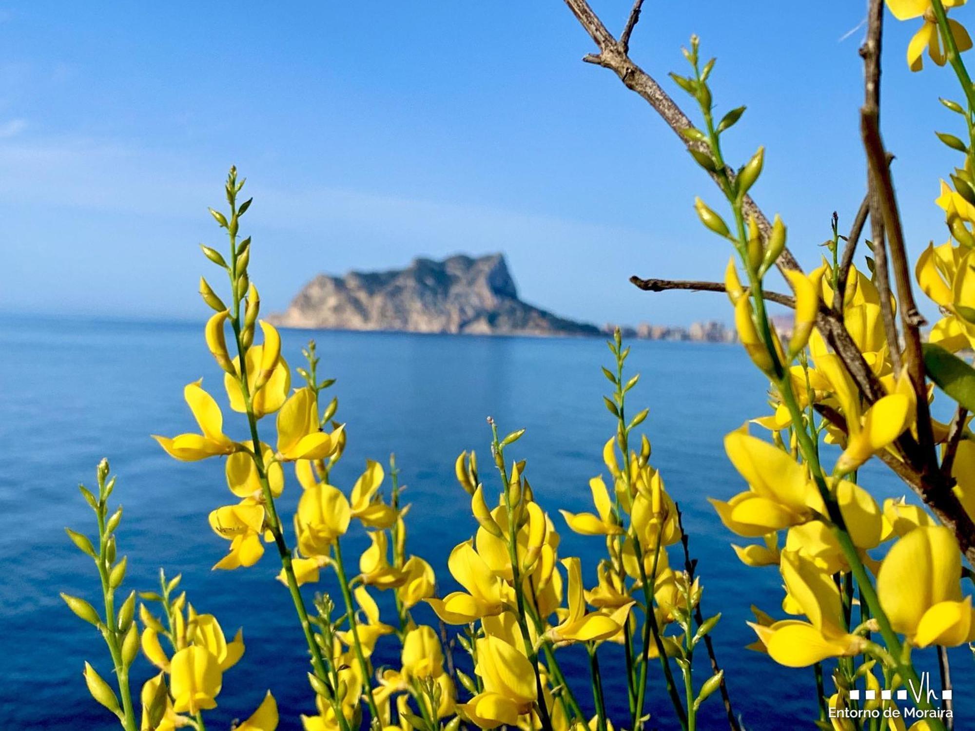 Vh Costablanca - Carmen Villa Moraira Exteriör bild